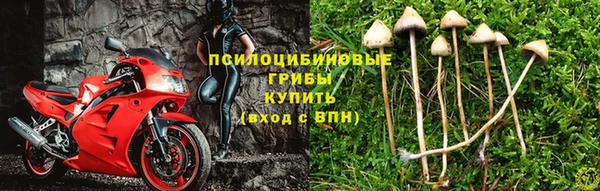 МДПВ Алзамай