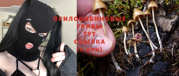 ALPHA-PVP Алексин