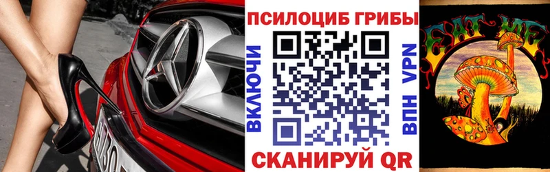 Галлюциногенные грибы Psilocybe  гидра ССЫЛКА  Енисейск 